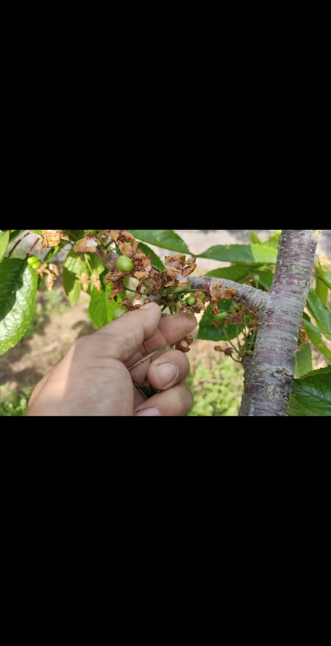 🌱农业人别端着老板架子！土地和市场最实在：糊弄土地它就糊弄人，傲慢懈怠市场给颜