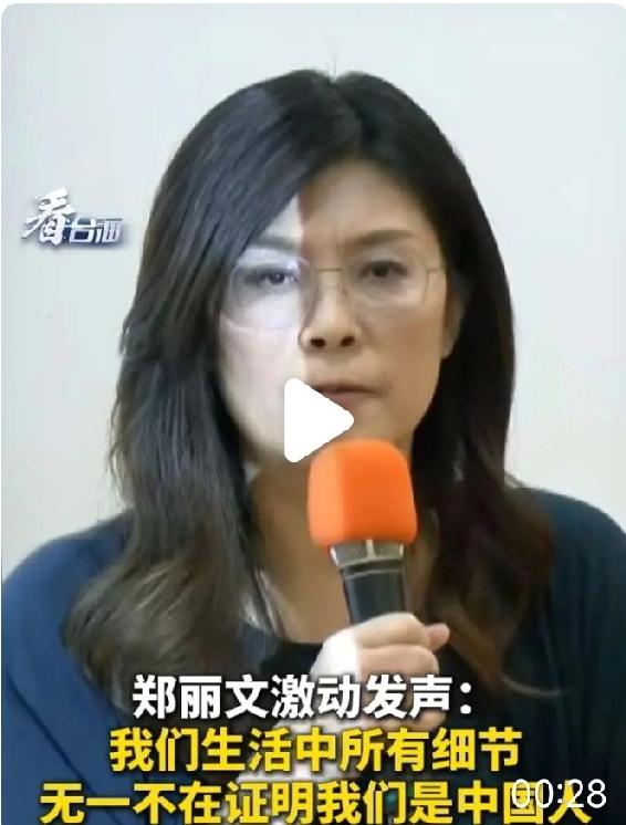 郑丽文作为国民党主席，面对民进党当局的威胁，党内反对的声音，代表国民党，敢于掷地