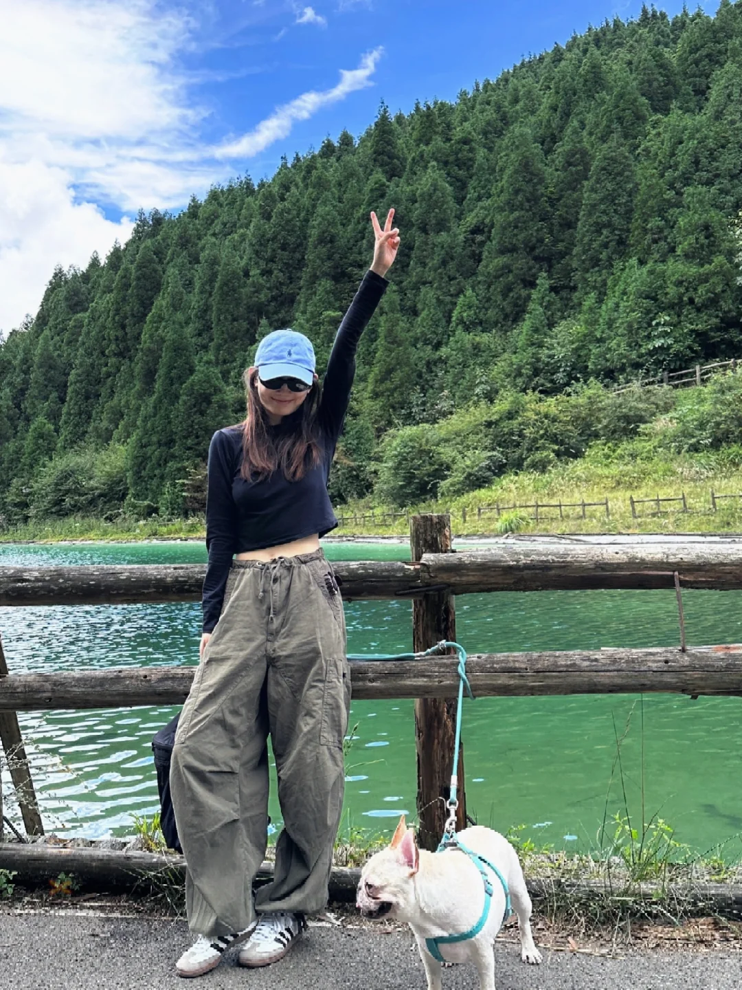 享受夏天🌲绿色真的好养眼！