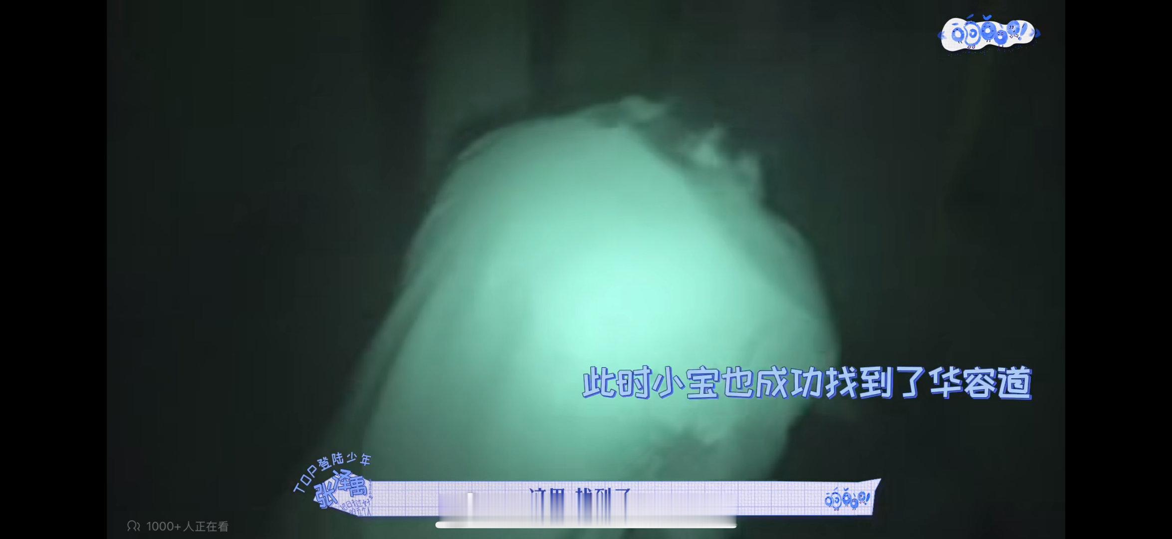 我不敢想象这四个畜要是没有我宝宝怎么通关到处跑来跑去在哪玩只有我宝宝一人在认真闯