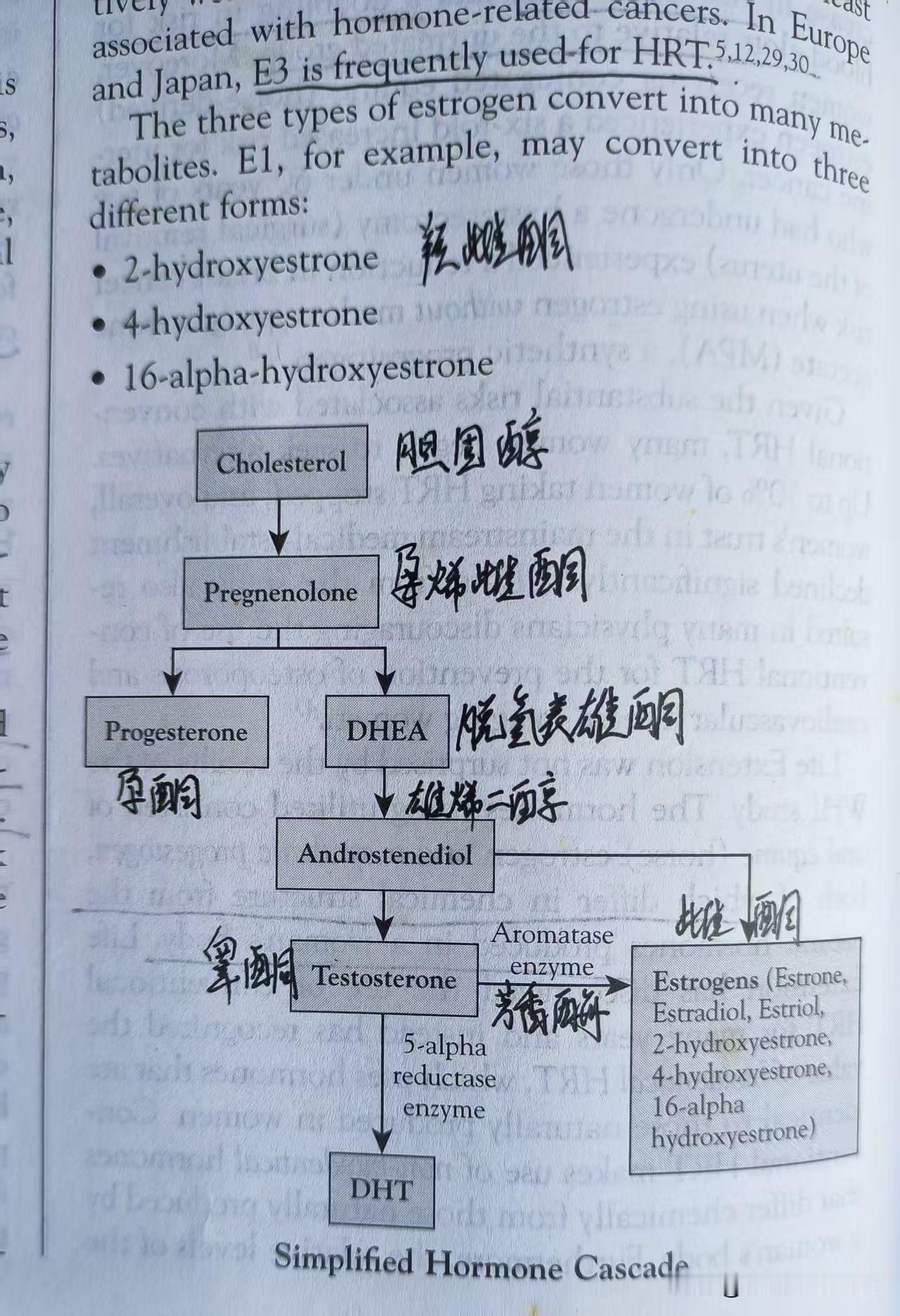 女性激素分泌与健康
​
​女性主要的激素是雌激素和孕激素的平衡。很多症状的出现都