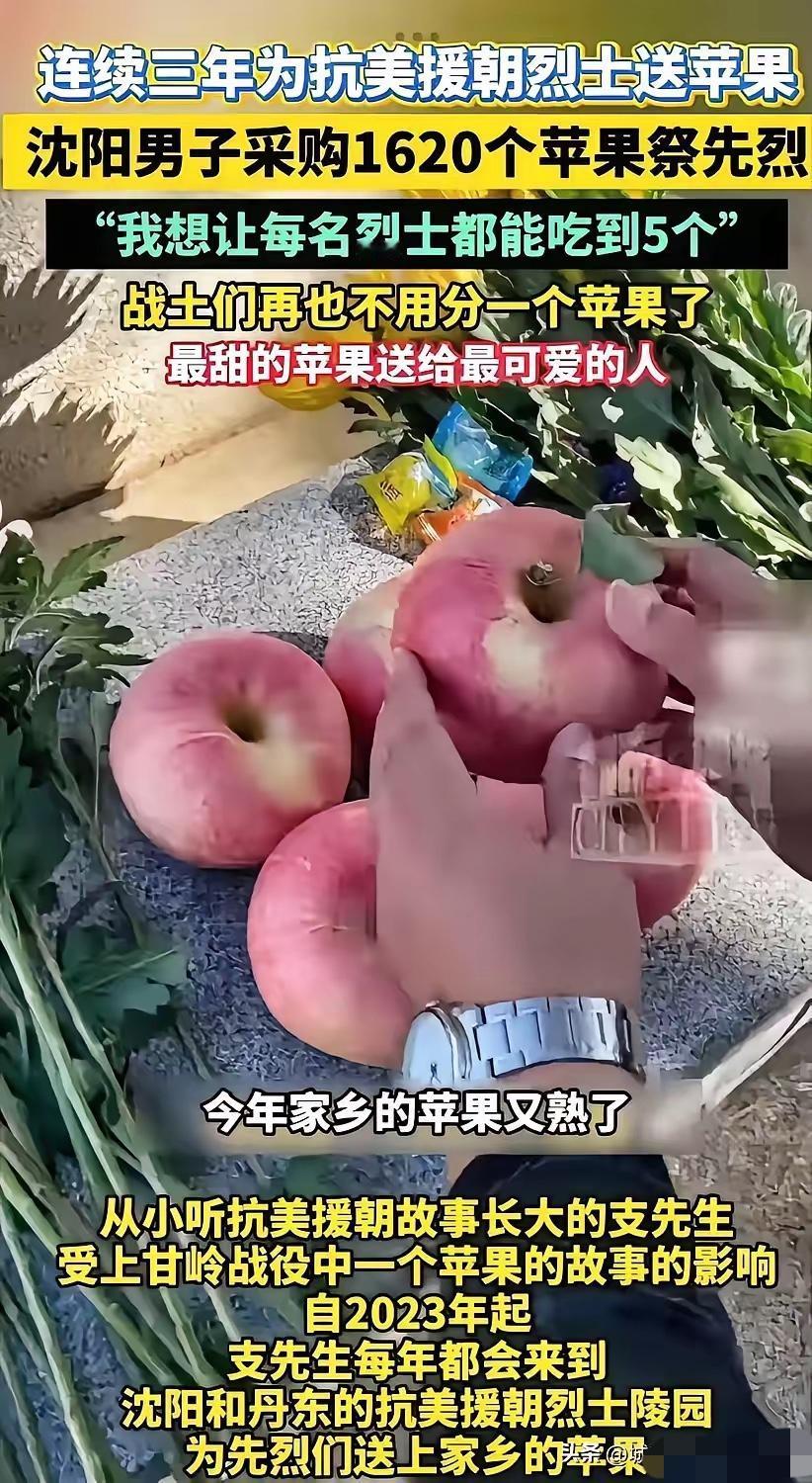 感动哭了！沈阳，47岁男子带着1650个苹果来到丹东烈士陵园，然后在每个墓碑前放