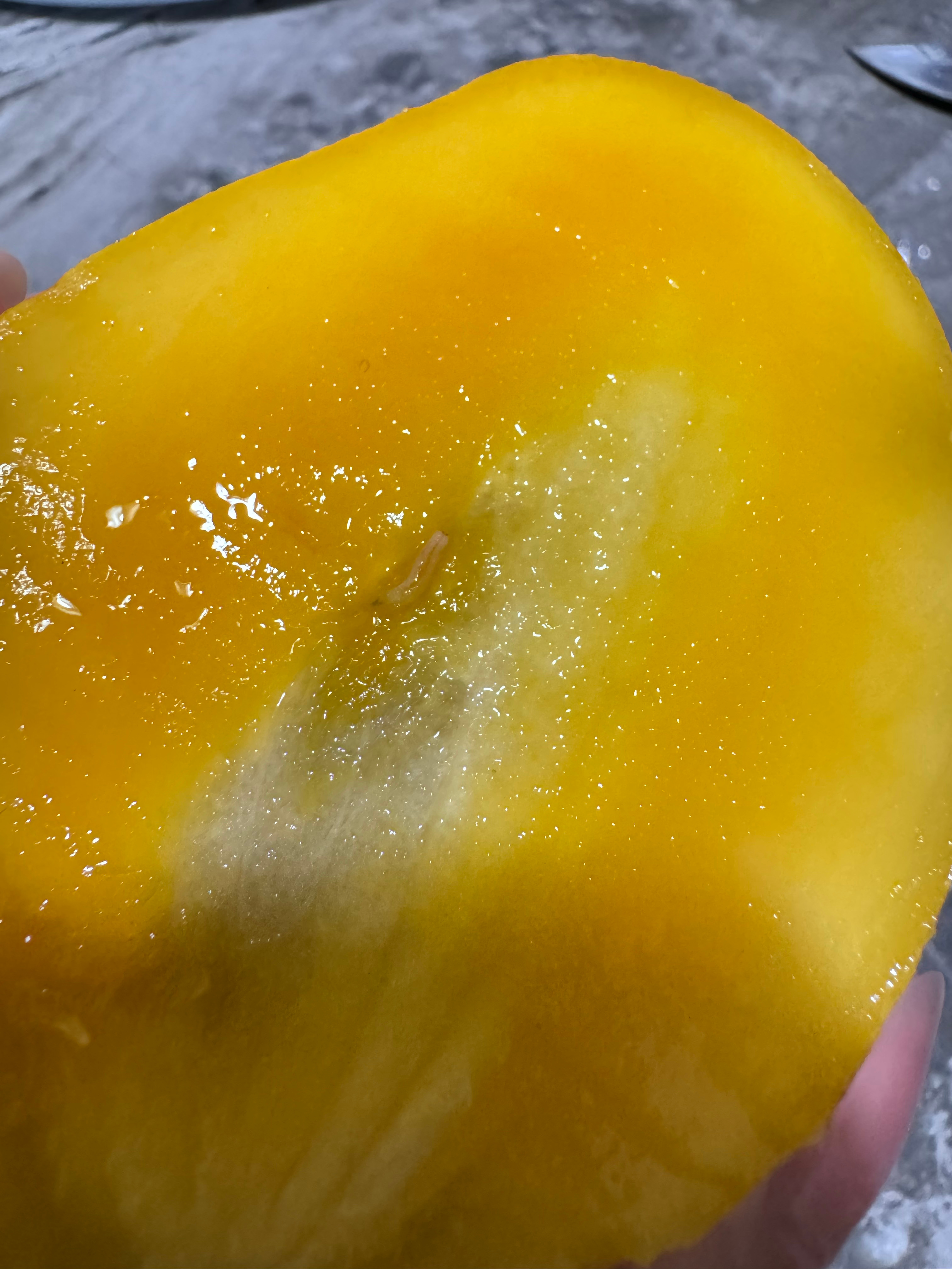 幸好我没有直接啃，而是切开不然等下看到剩半截的虫子我会更崩溃 