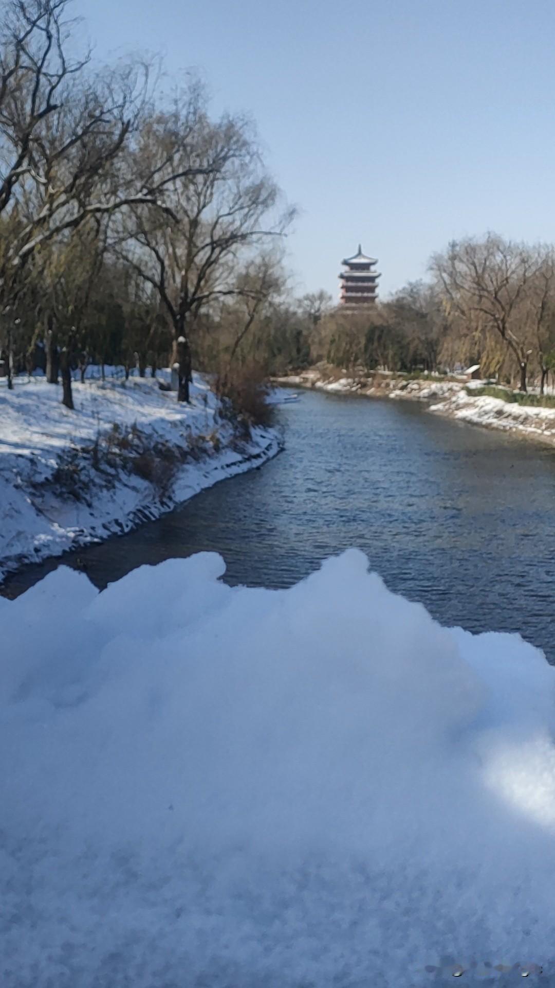 喜鹊登梅歌盛世；
瑞雪盈门送吉祥！