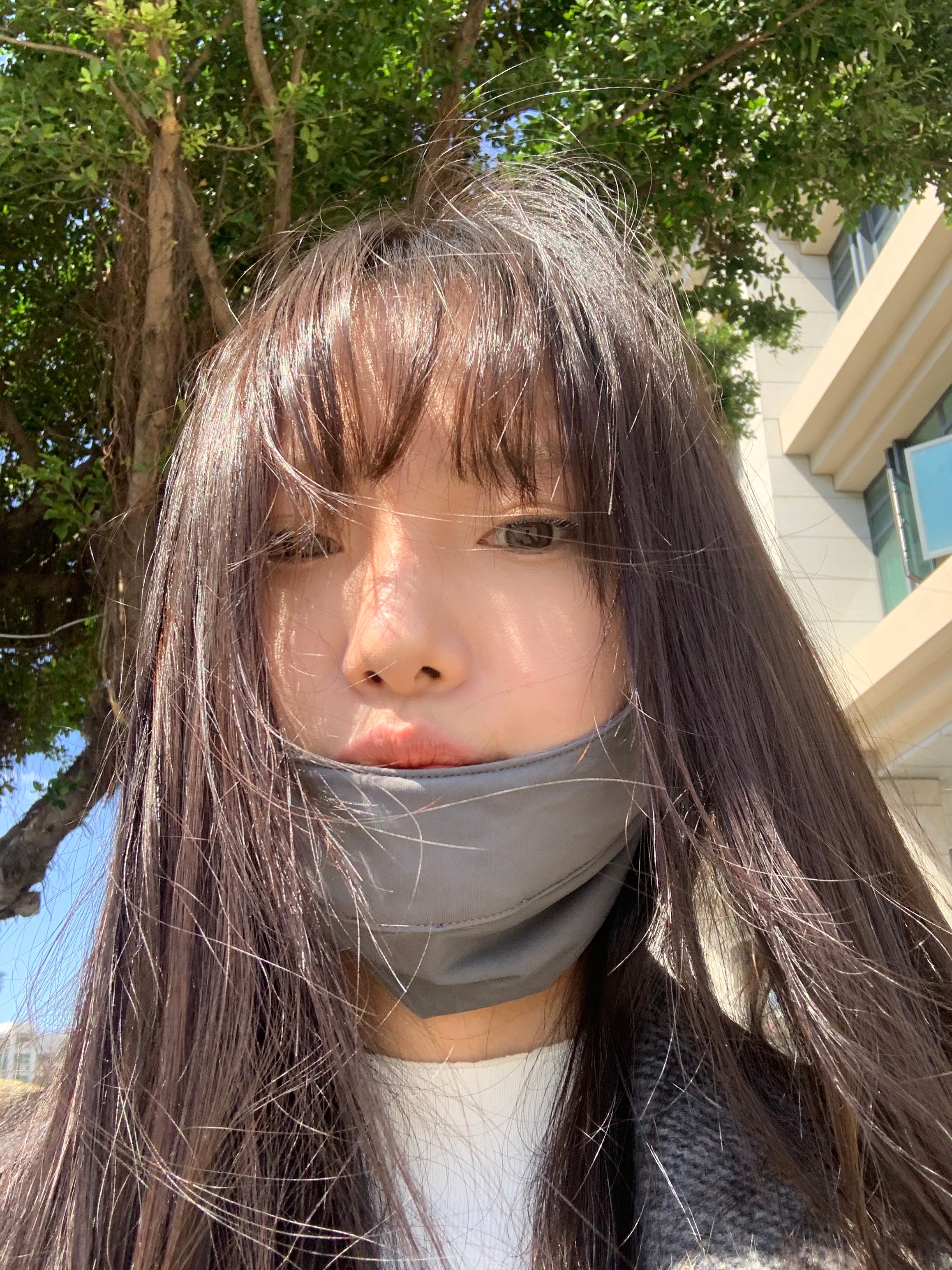吹啊吹啊我的骄傲放纵 ​​​