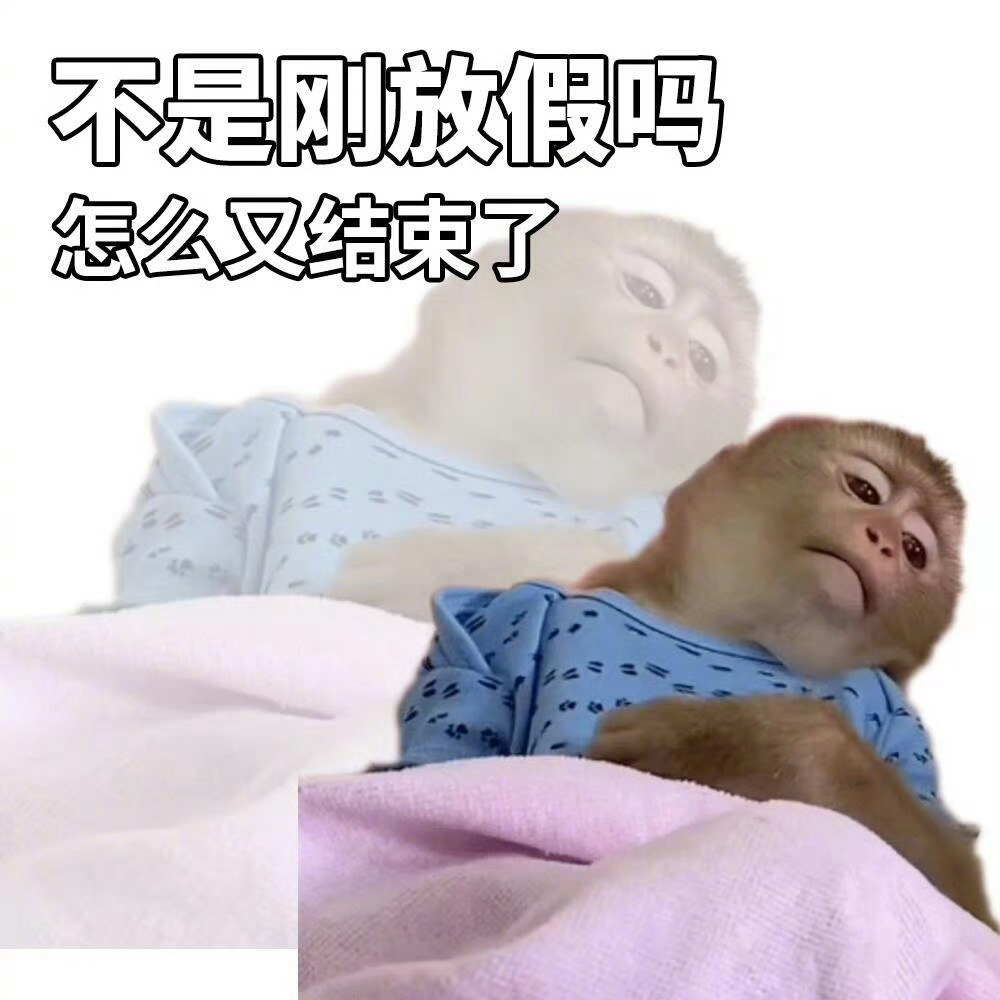 #社畜的国庆戒断反应有多强##听反方向的钟回到国庆前#天呐，为什么感觉三十号的下