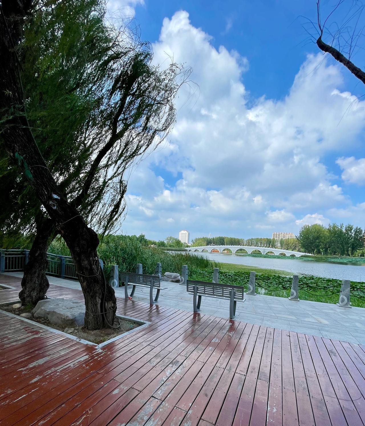 经济不好电商也有原因，电商方便省了不少事，实体可以让更多人有生意做有工作，比如电