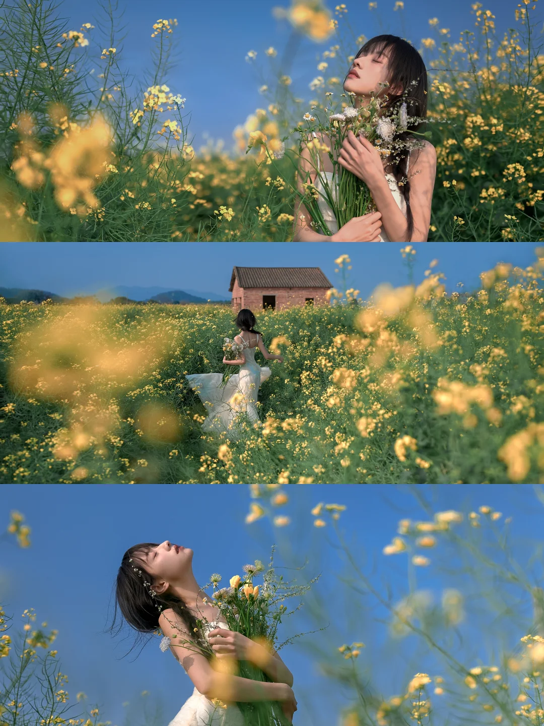 往返春天一万次🌼