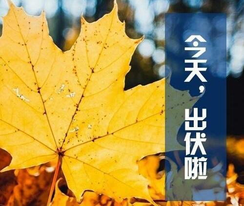 大家好有个心理准备，今天8月24号出伏，终于要结束今年40天的超长三伏天了！
