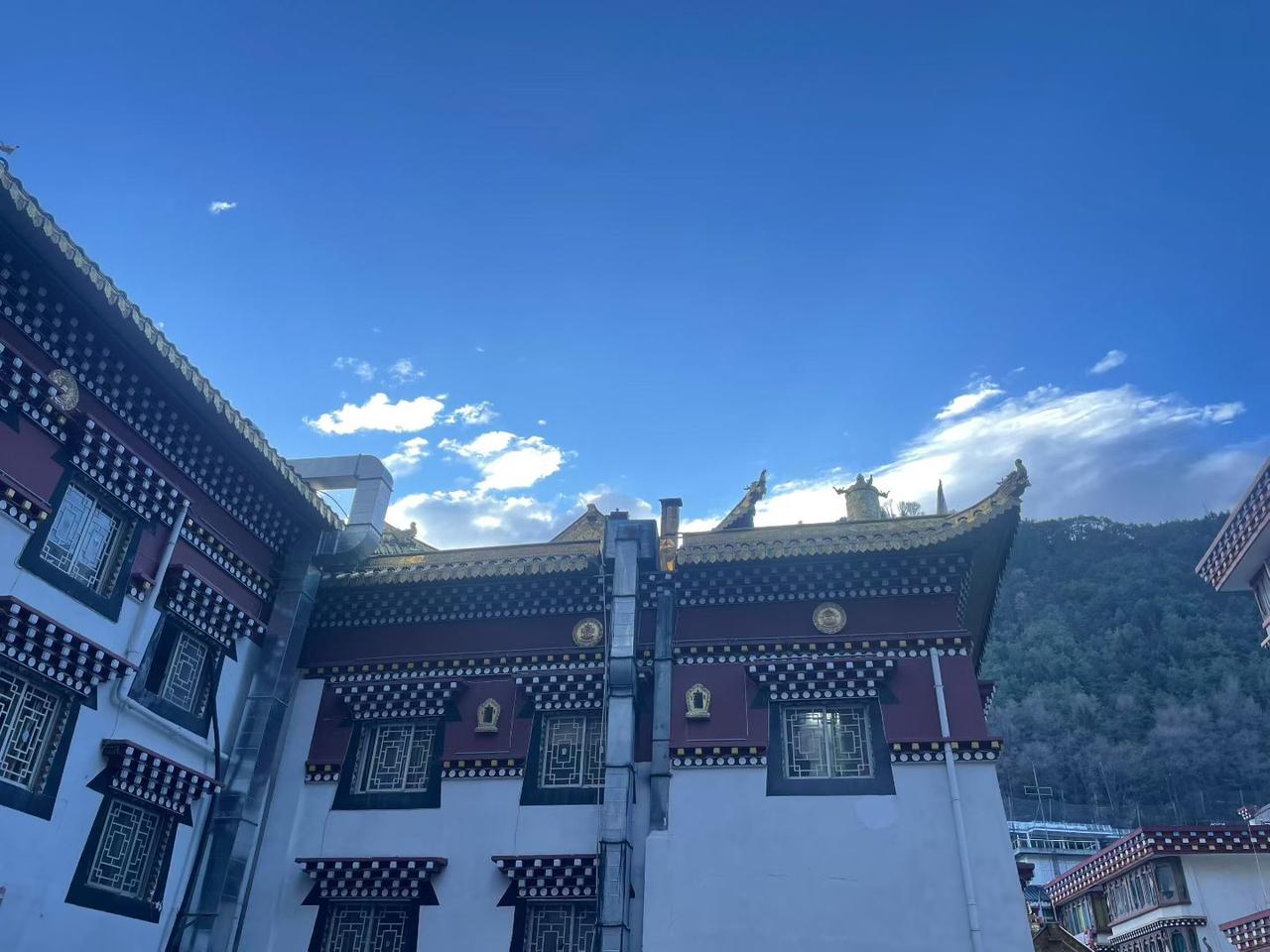 今年春天最想实现的心愿川西高原的早上天好蓝！