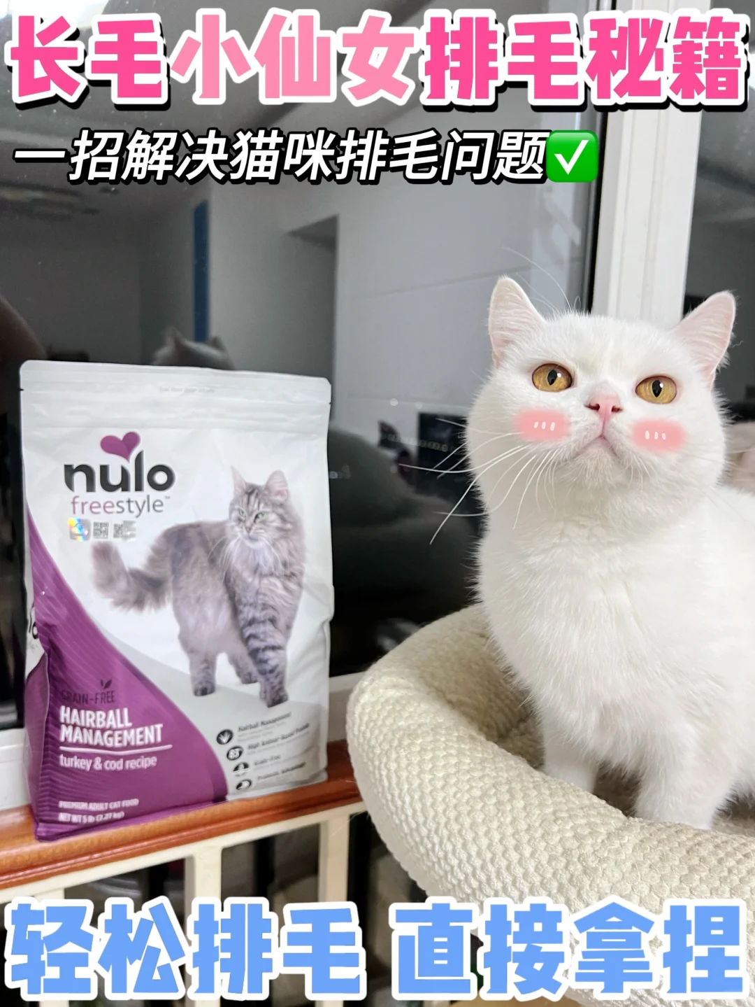 绝了！长毛猫的排毛秘籍！真的别太牛