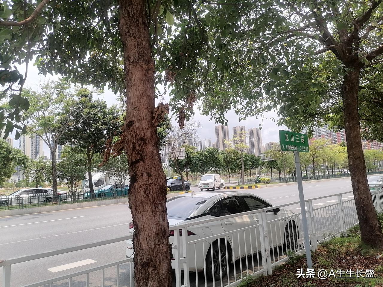 龙山三路有一段没打通，对面是高档别墅小区。