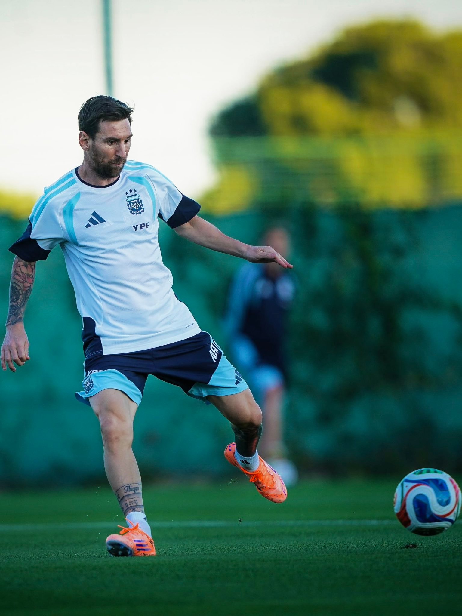 AFA：完美无瑕🍷