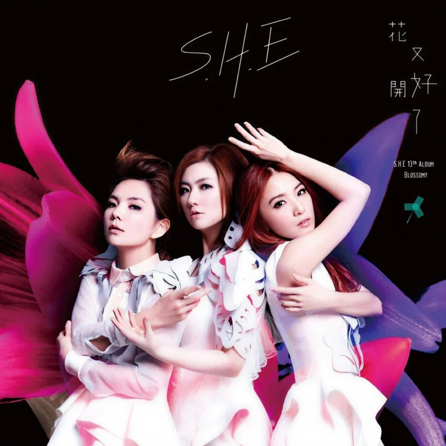 好聚好散是无言的珍惜。[心]感激。 S.H.E《明天的自己》 ​​​