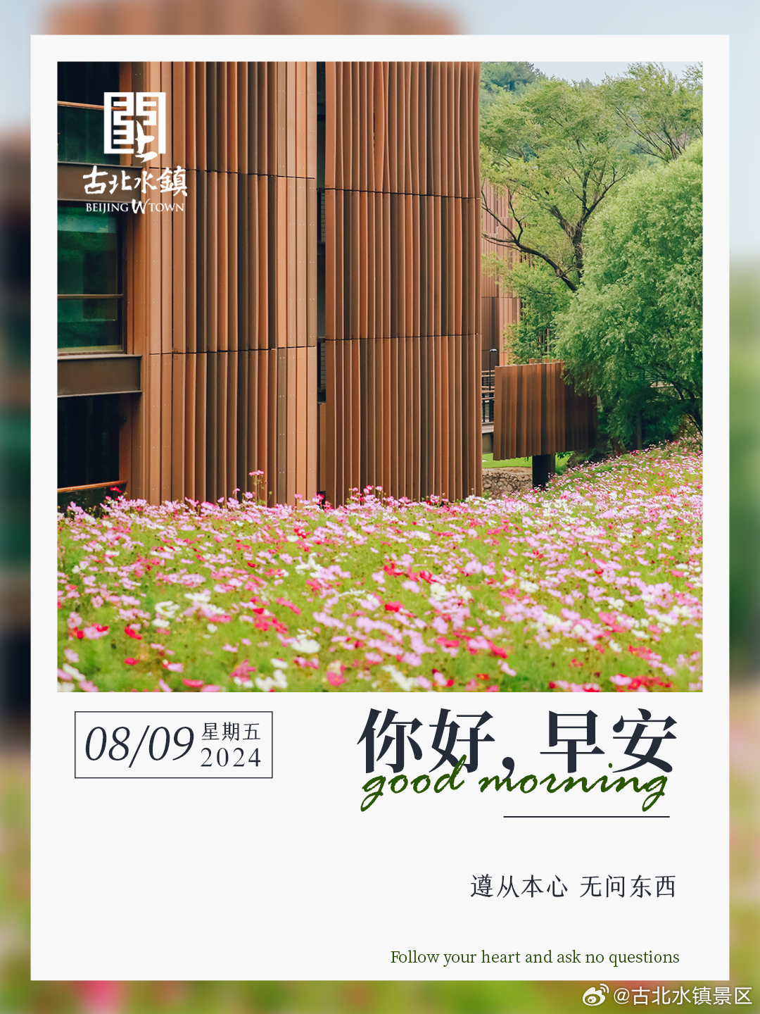 遵从本心 无问东西早安，宝子们~#长城下的星空小镇# #古北水镇光之城# #出游