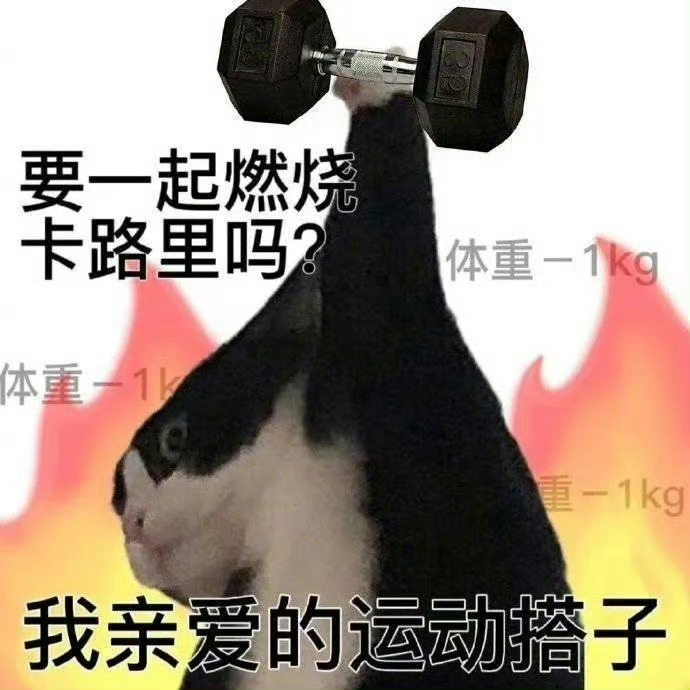 健身房最适合放的歌这才是真的运动神曲谁懂在健身房举铁时听到强军战歌的含金量啊🔥