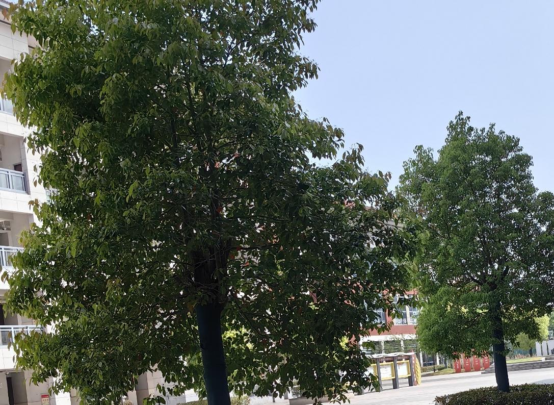 你认为谁才称得上人民心中的伟人老一辈无产阶级革命家，可以称得上人民心中的伟人。最