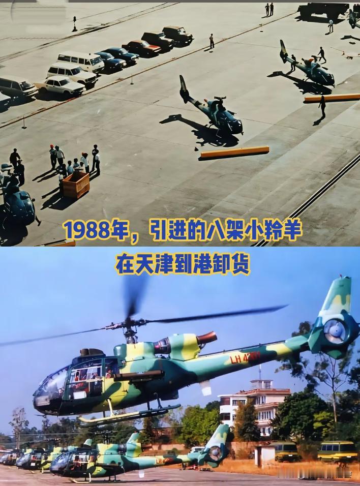 这是上世纪80年代末，中国从法国购买了8架“小羚羊”轻型武装直升机在天津港卸货。