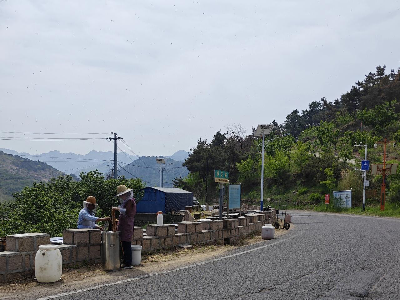 棉花村四面环山，仅有一条山路与外界相连。就是在这条蜿蜒的山路上，每当五月槐花盛开