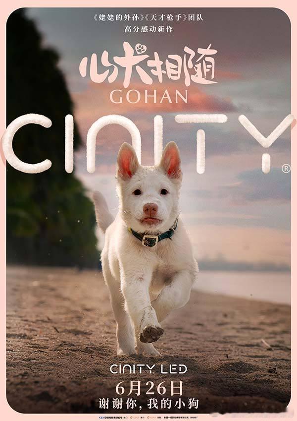 电影心犬相随预售开启发布Cinity制式海报。海报定格米饭在海边的瞬间，落日海滩