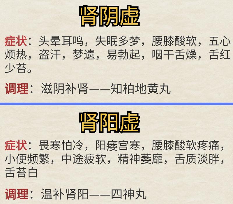 肾虚的7种类型，及调理方法，你属于哪种？#中医健康#