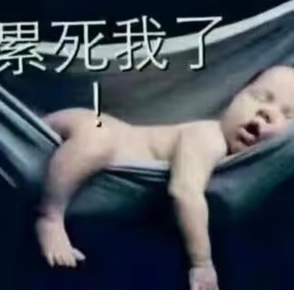 分享图片 