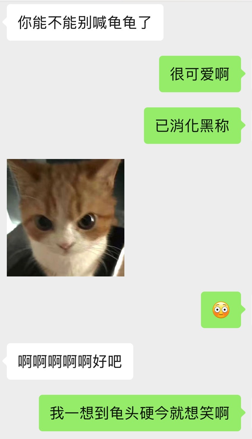 龟龟龟龟龟龟 