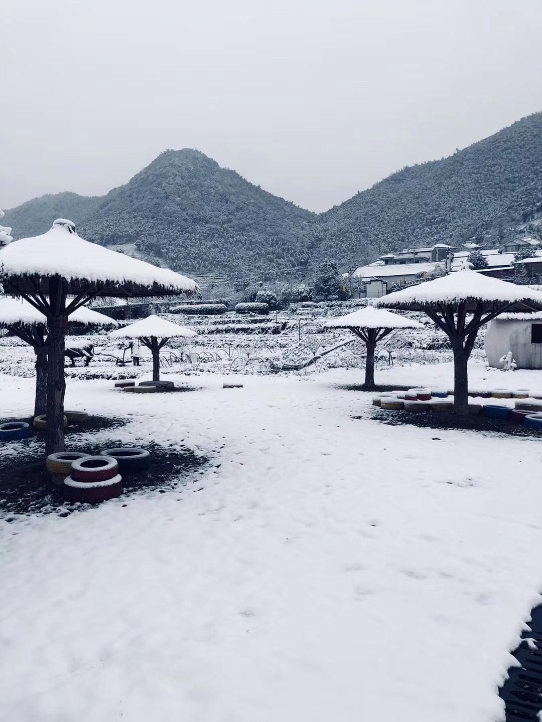 今天都四九第三天了！南方的冬天却依然不冷。昨天回乡下，竟然看到父亲栽的红梅都打了