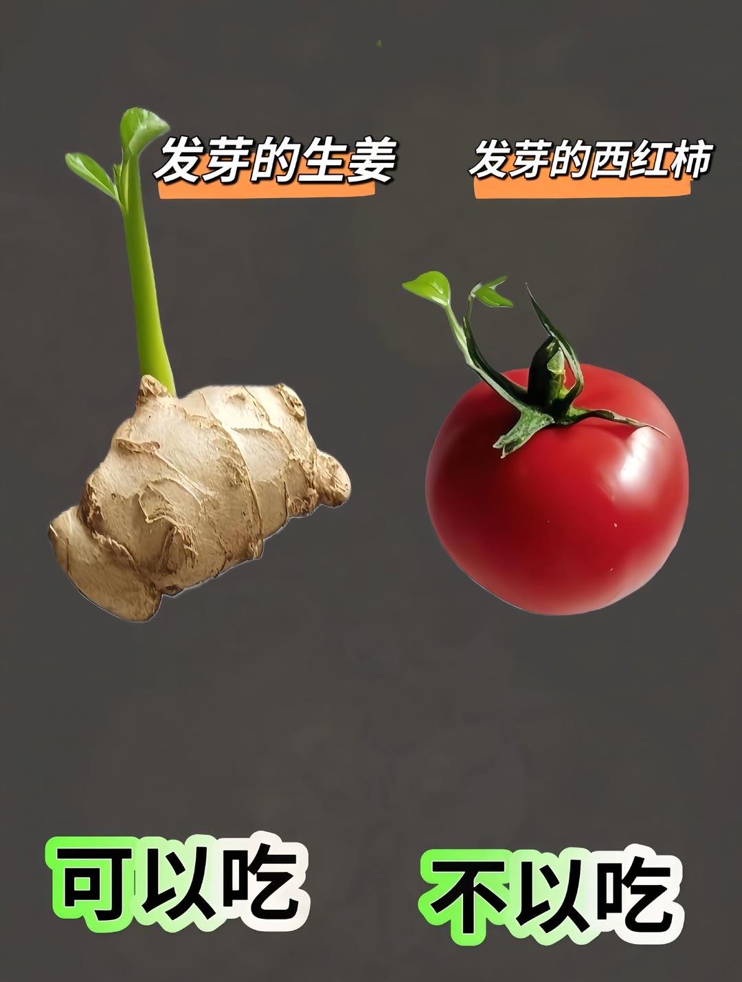 每天跟我涨知识  分享生活小技巧  合理饮食养生饮食小技巧 养生饮食小技巧 饮食