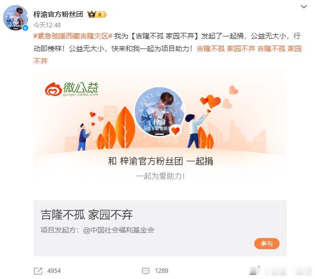 梓渝粉丝向西藏灾区捐款 心系灾区安危，梓渝粉丝捐出善款，愿山河无恙，人间皆安。 