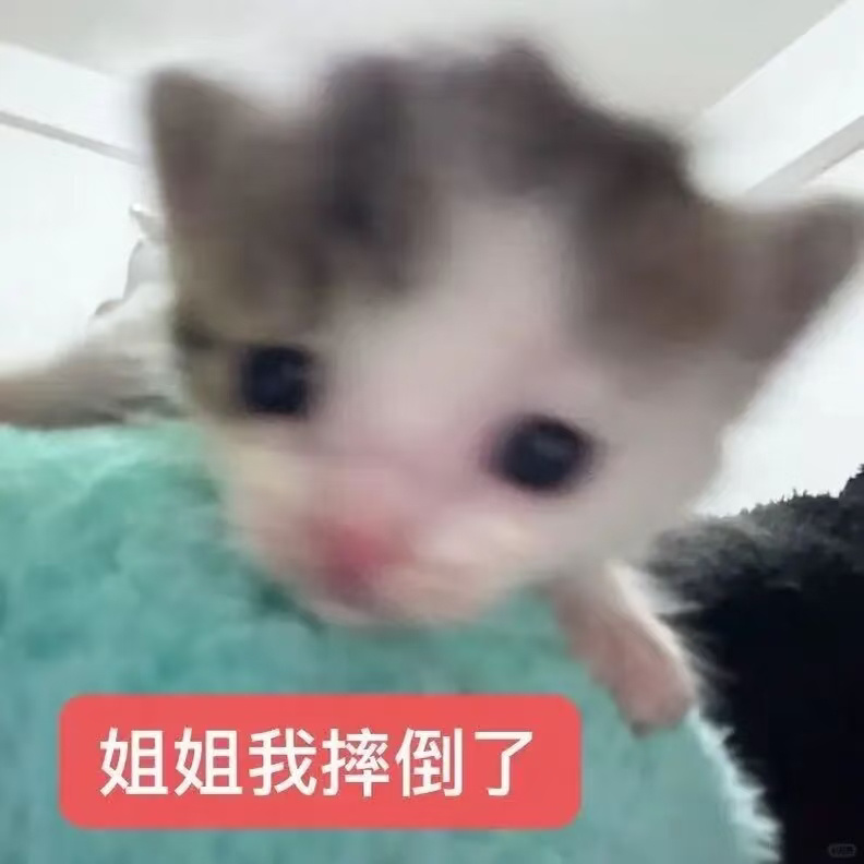 博君一肖 日常01被邻居在地下车库偶遇过，看起来刚从超市采购回家。王左手两个袋子