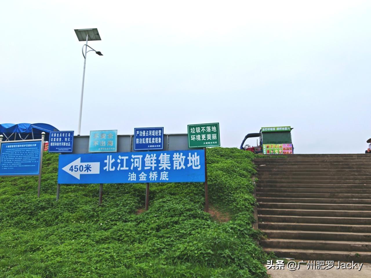 北江河鲜集散地，清远的北江大堤上，疍家渔船将打捞上来的各式河鲜汇集在此统一售卖，