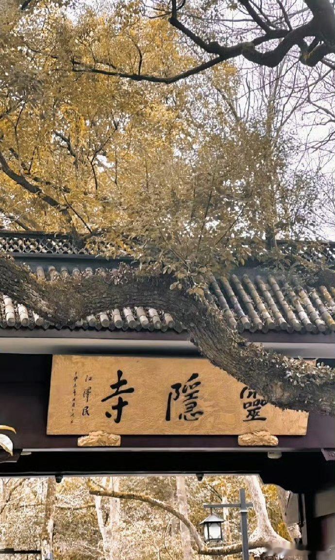 刷到灵隐寺不要划走，停留一下缘分转赞.你想的都将会实现🙏🙏 ​ ​​​