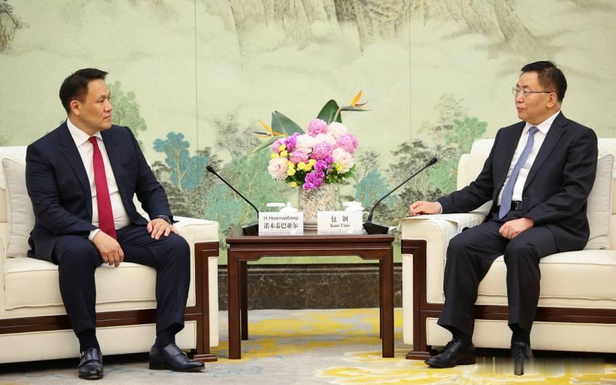 中蒙合作：中蒙双方计划扩大口蹄疫和小反刍兽疫疫苗产业合作

蒙通社乌兰巴托 06