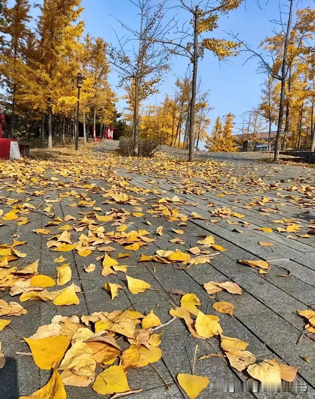 人生短暂，让自己活得随性，闲看庭前花开花落，漫随天际云卷云舒，世事看淡，在我们的