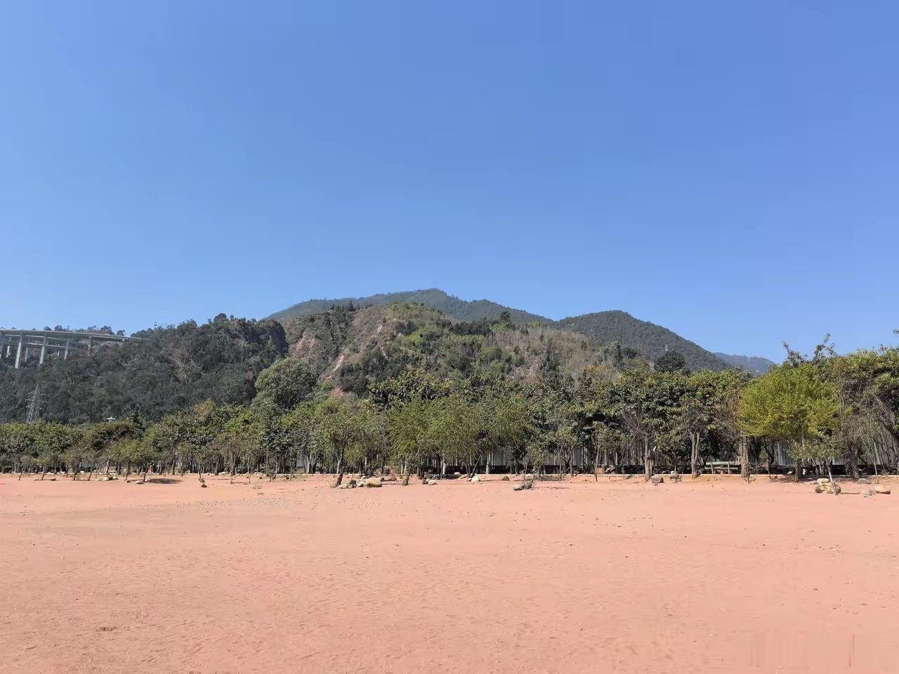 印度也真是个神奇的地方，这会气温能达到 50度，这个温度我只在桑拿房里体验过，印