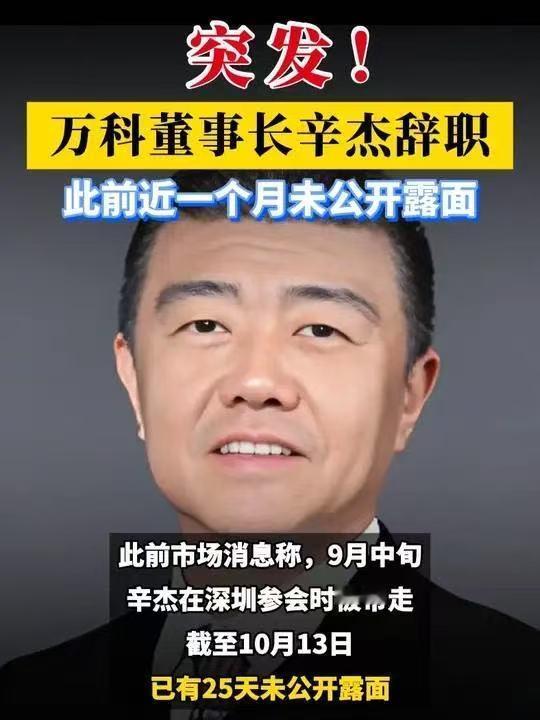 万科换帅震动楼市！

辛杰卸任背后：低息贷疑云、架构改革风波，千亿缺口怎么填？