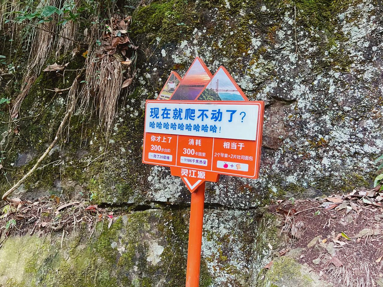今天下午在浙江省磐安县的“灵江源森林公园”爬山，爬了没多久就看到这样一块路牌，我