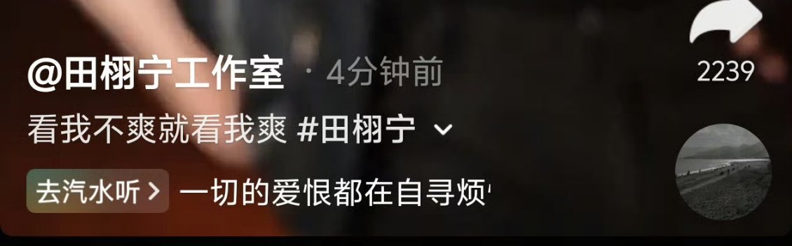 不是我说这也太装了田栩宁工作室文案