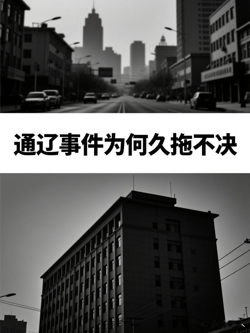 通辽近期发生的这起事件，至今仍未得到妥善处理，引发了广泛关注。从不同维度审视，问