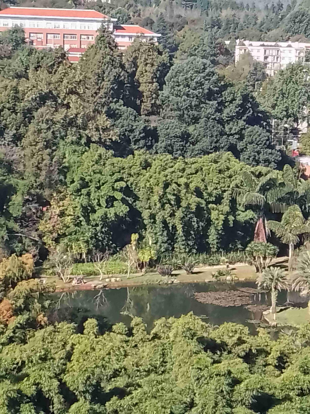 我的今日状态：😁轻松愉快
我这里的天气：☀️晴天