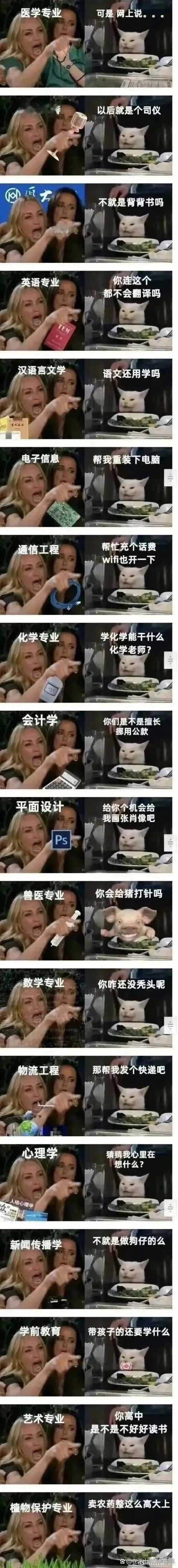 论如何一句话惹毛一个专业 