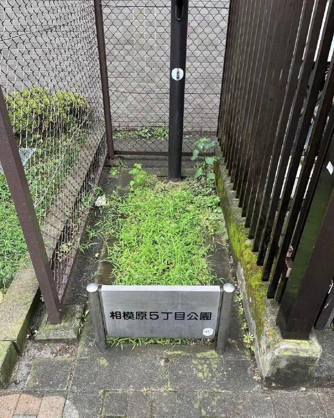 这是日本最小的花园？明明是个花盆，欺负我眼睛近视？日本很多东西都非常的娇小，因为
