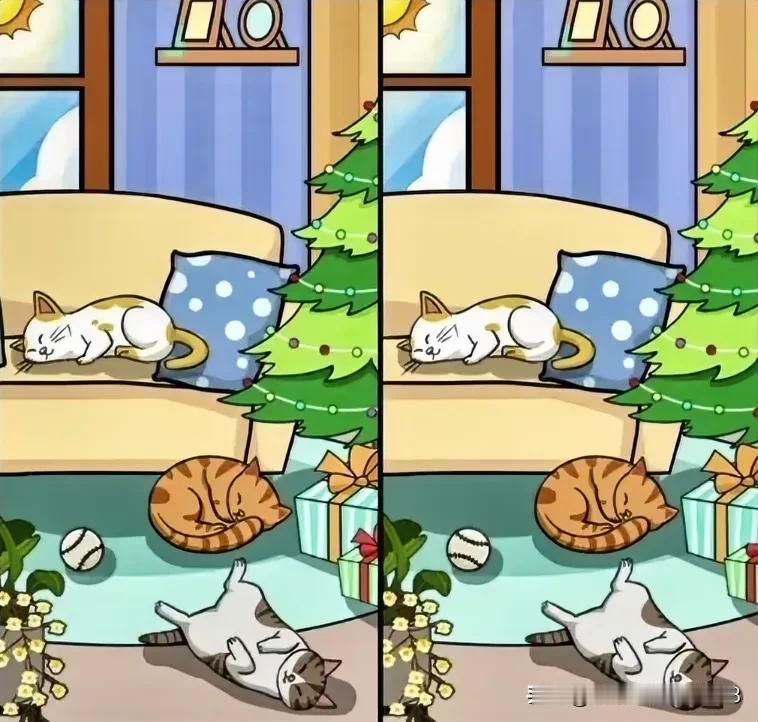 猫儿卧窗边，美梦至
找不同
仔细看看有8处不同[灵光一闪]