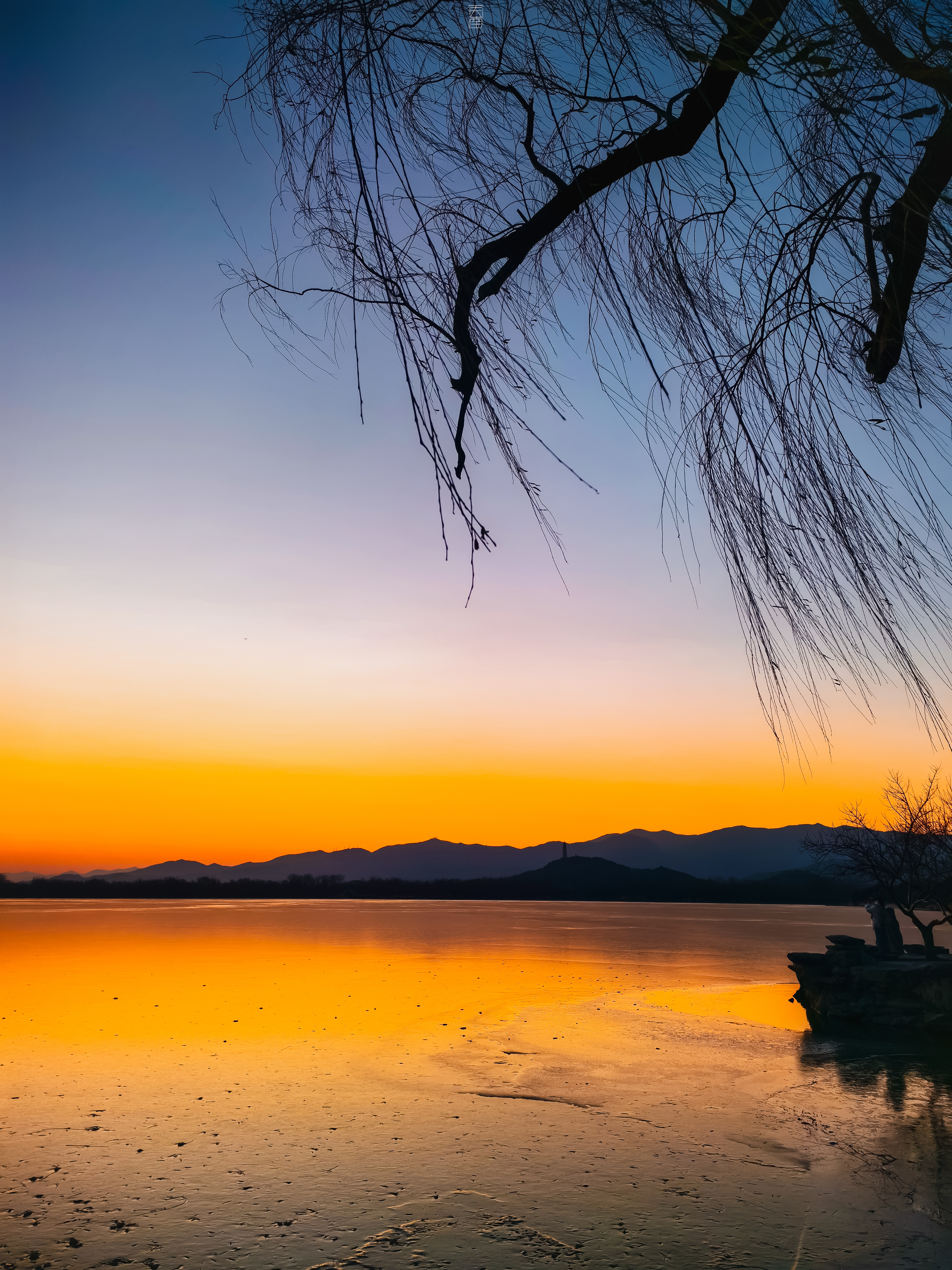 “不要浪费你的 12 月，因为时间根本不存在。”【颐和园】摄影