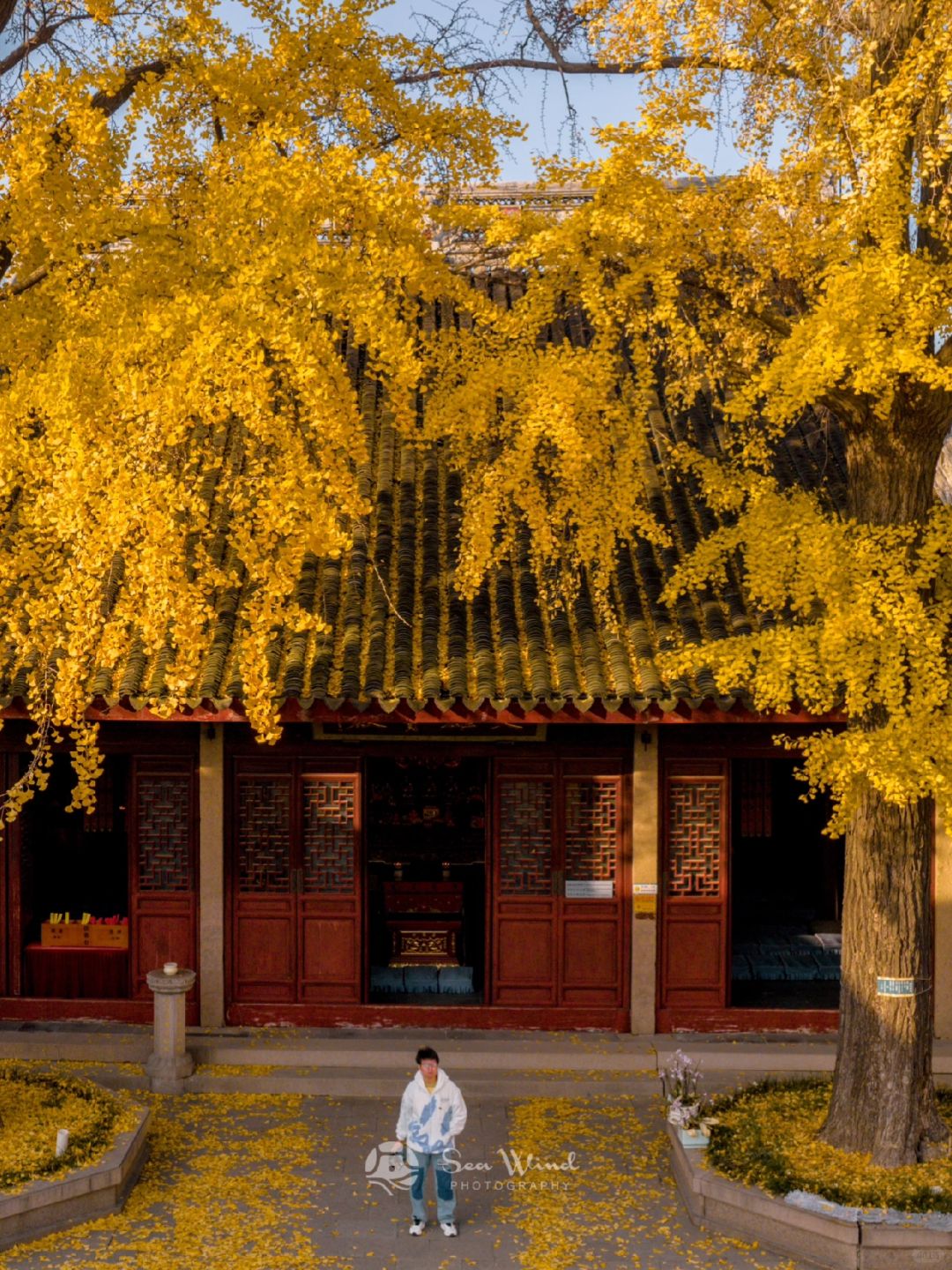秋天一定要来苏州定慧寺，不然真的后悔‼️