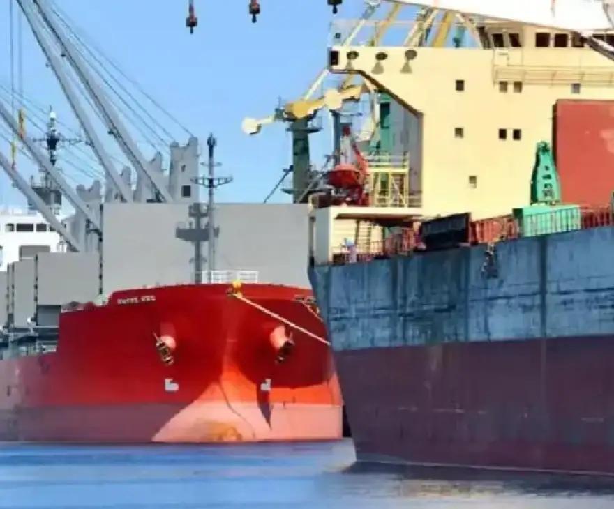 当一船满载6.9万吨巴西大豆的货轮靠泊江苏泰州码头时，谁也没想到，大豆中混入了约