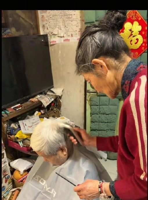 马品同家的日常，简直是行走的段子手生产线。你瞧这老两口加个中间派儿子，凑一块儿就