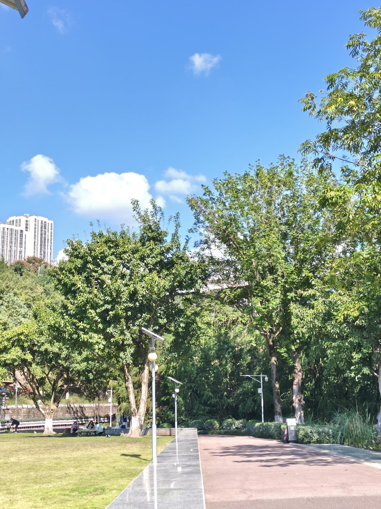 叫幺儿那是心头肉的宝贝。
女儿叫美眉
儿子叫弟弟
爸爸妈妈叫妈老汉