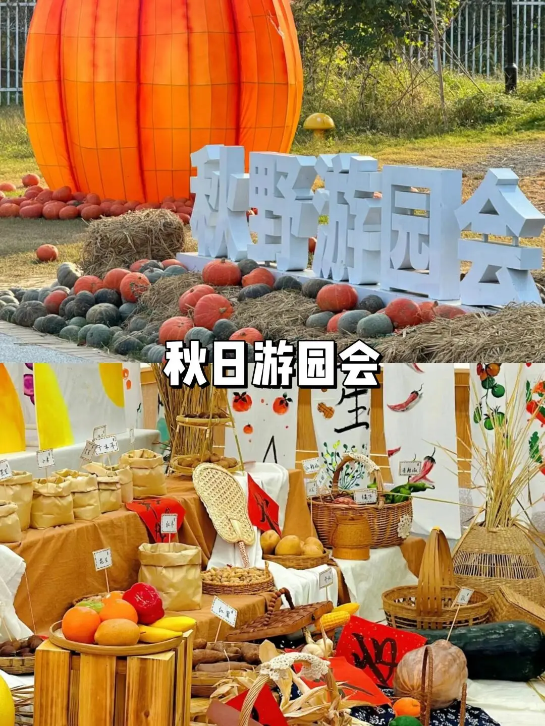 🎉HR必看！无需为公司团建发愁啦！🌈
